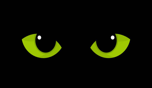 image of cat eye